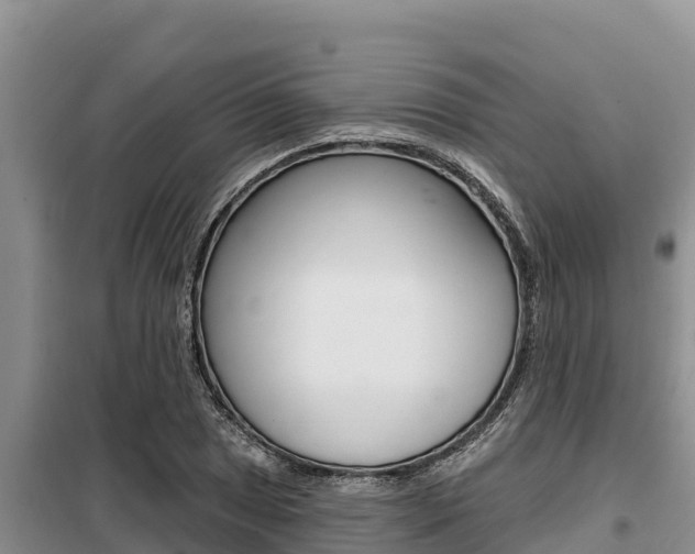 X0000099421025200805090746