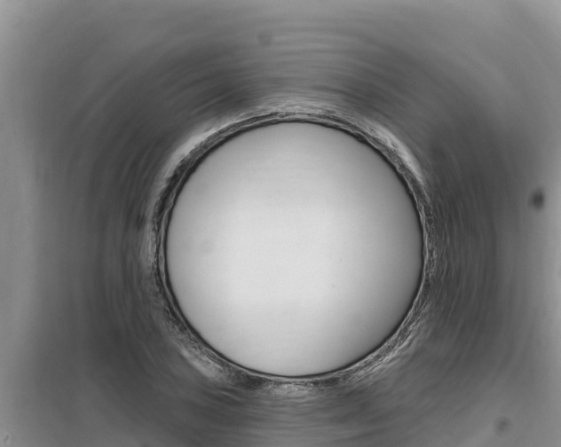 X0000099421027200805090746