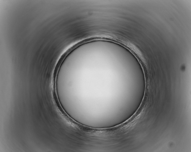 X0000099421028200805090746
