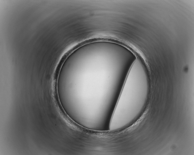 X0000099421029200805090746