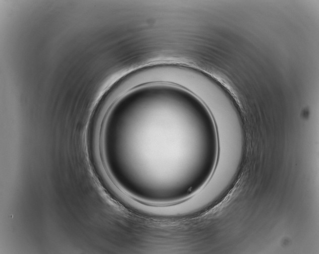 X0000099421030200805090746