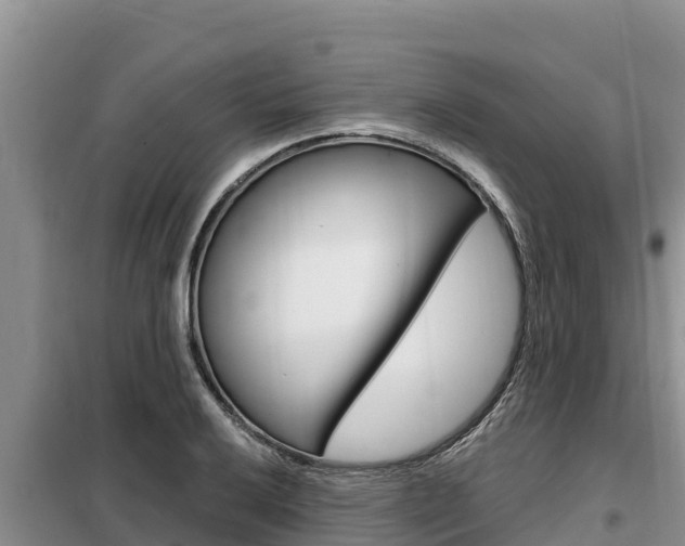 X0000099421032200805090746