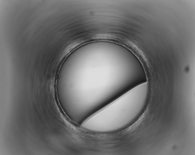 X0000099421033200805090746