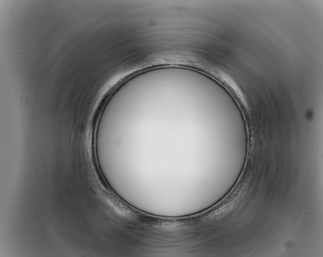 X0000099421035200805090746