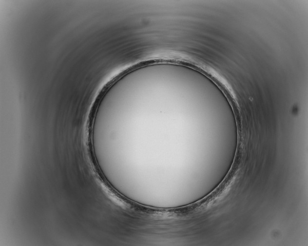 X0000099421037200805090746