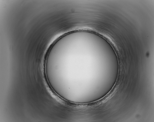 X0000099421038200805090746