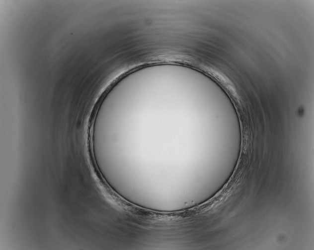 X0000099421039200805090746