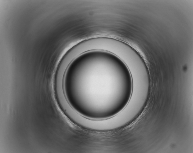 X0000099421040200805090746