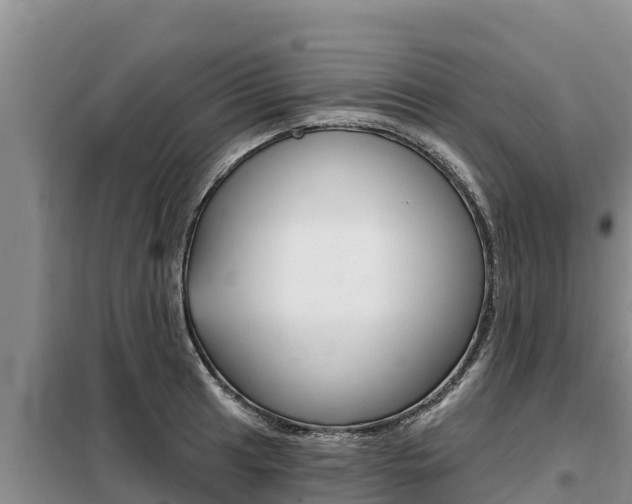 X0000099421041200805090746