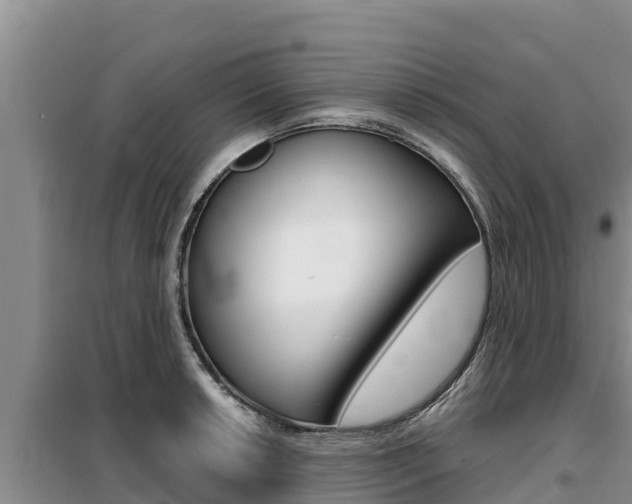 X0000099421042200805090746
