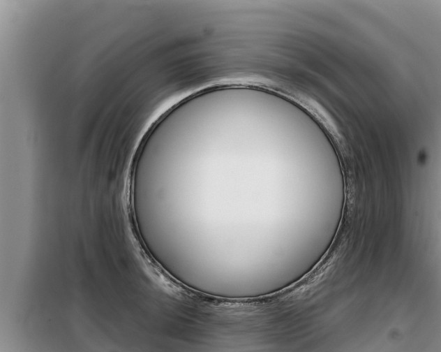X0000099421044200805090746