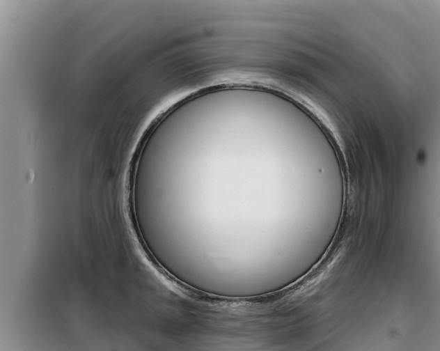 X0000099421045200805090746