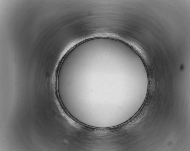 X0000099421046200805090746