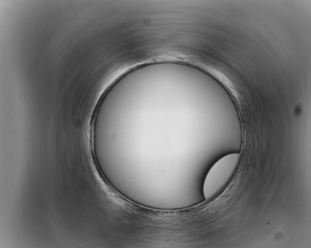 X0000099421047200805090746