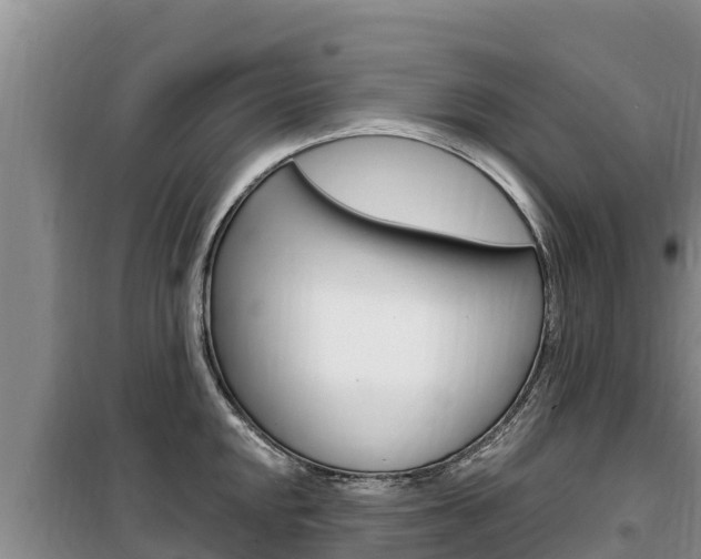 X0000099421048200805090746