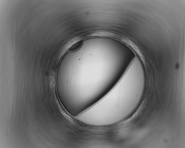 X0000099421049200805090746