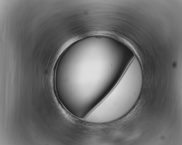 X0000099421050200805090746