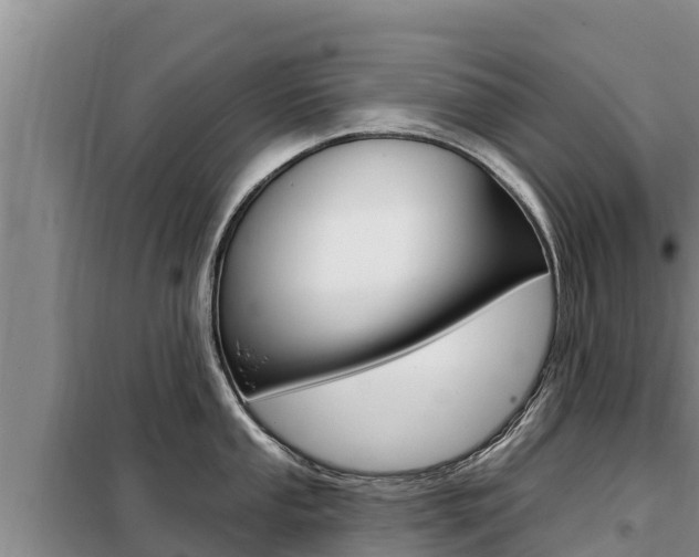 X0000099421053200805090746
