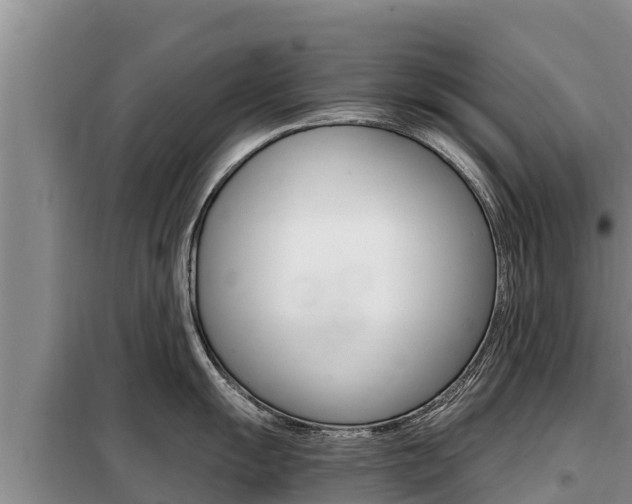 X0000099421055200805090746