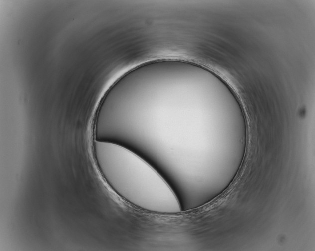 X0000099421056200805090746