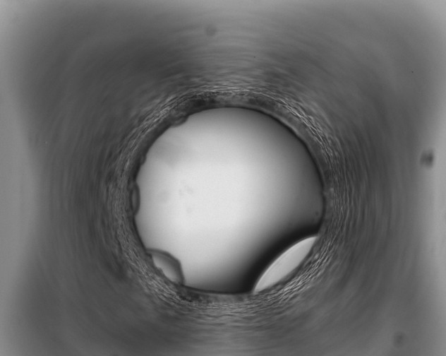 X0000099421057200805090746