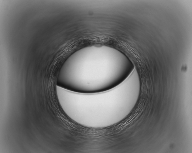 X0000099421058200805090746