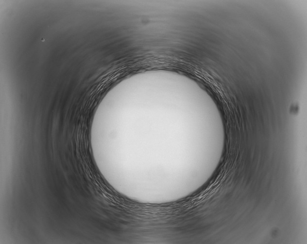 X0000099421059200805090746
