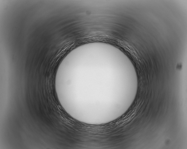 X0000099421060200805090746