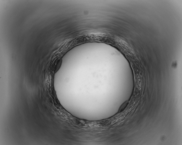 X0000099421061200805090745
