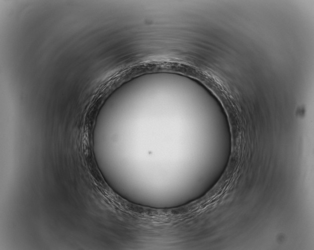 X0000099421062200805090745