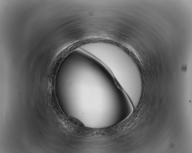 X0000099421064200805090745