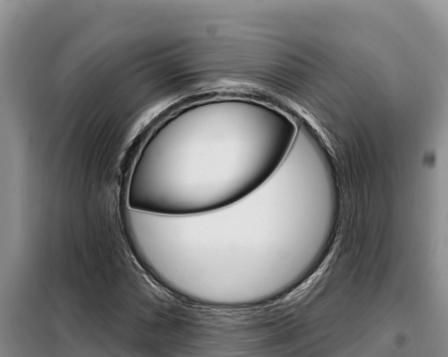 X0000099421066200805090745