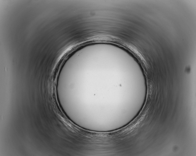 X0000099421067200805090745