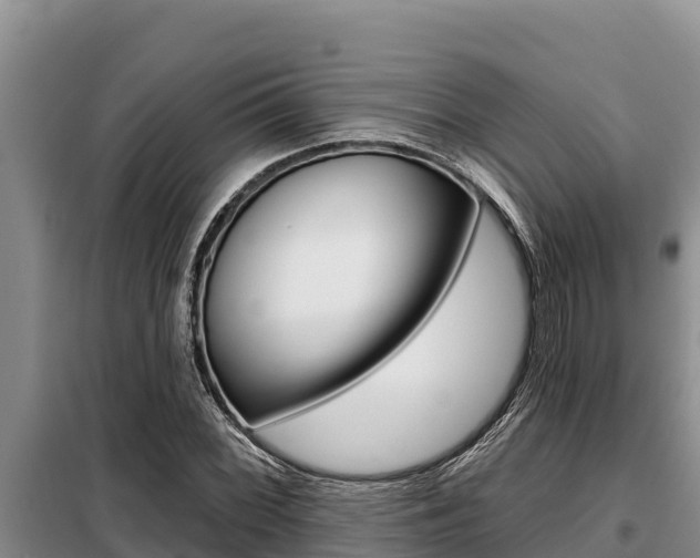 X0000099421068200805090745