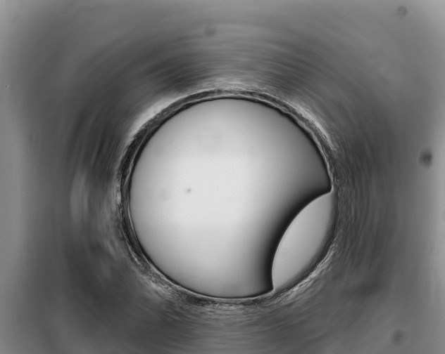 X0000099421070200805090745