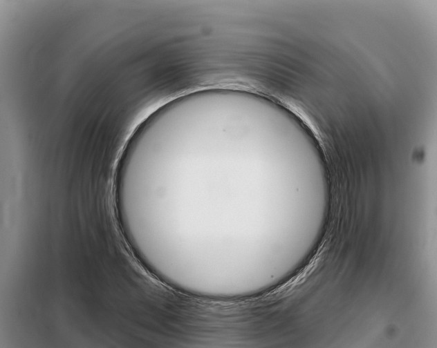 X0000099421071200805090745