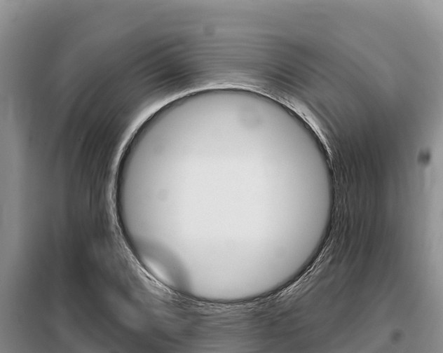 X0000099421072200805090745