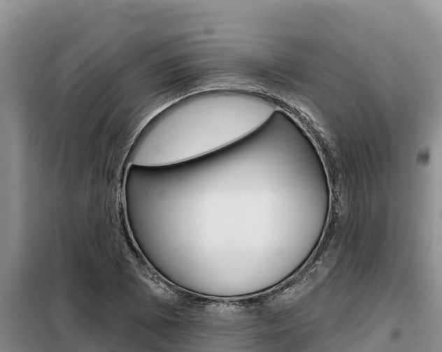 X0000099421073200805090745