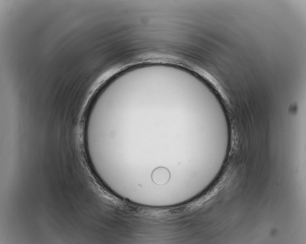 X0000099421074200805090745