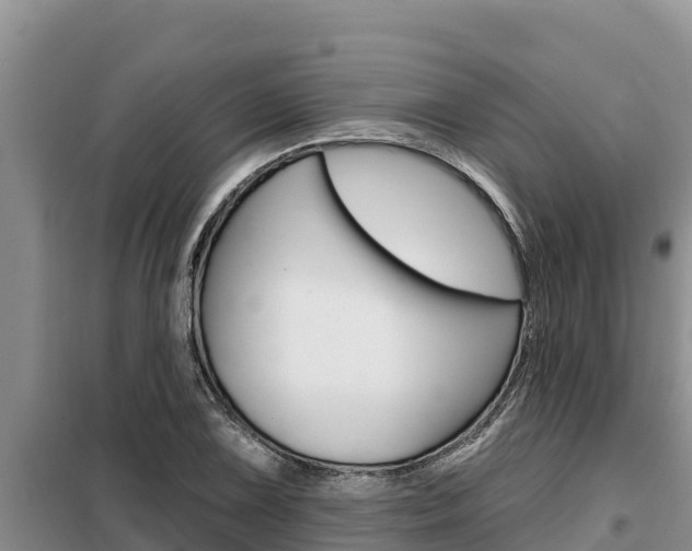 X0000099421075200805090745