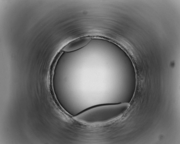 X0000099421076200805090745