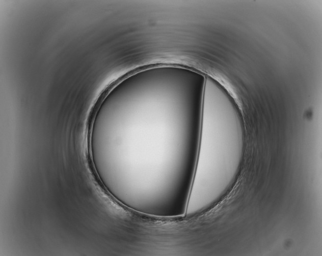 X0000099421080200805090745