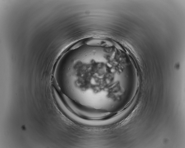 X0000099421081200805090745
