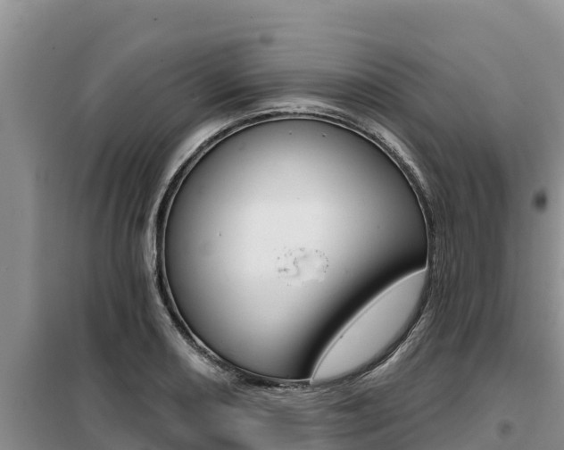 X0000099421082200805090745