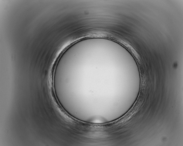 X0000099421083200805090745