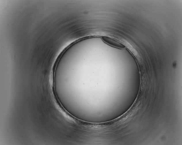 X0000099421084200805090745