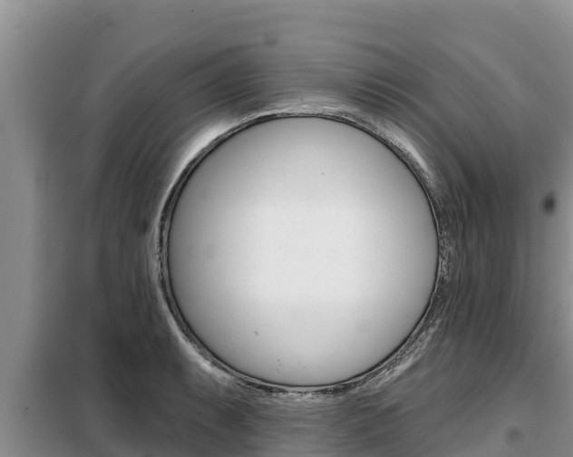 X0000099421087200805090745