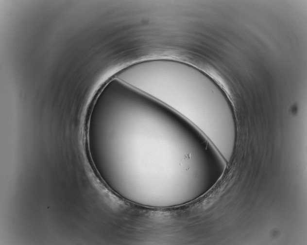 X0000099421088200805090745