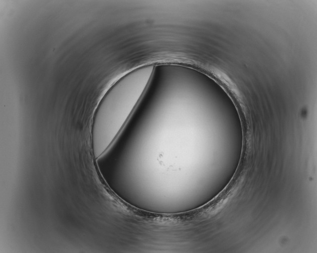 X0000099421089200805090745