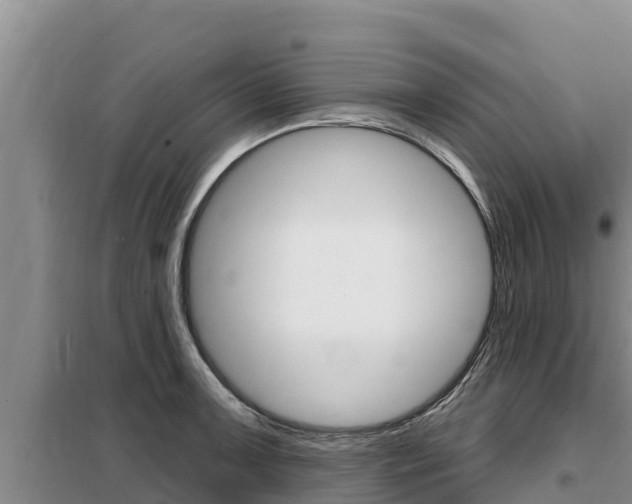X0000099421091200805090745